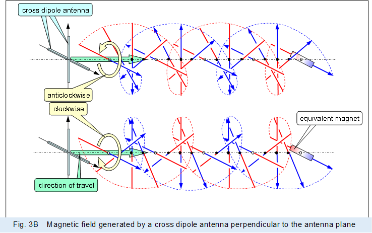 �@ ,Fig. 3B�@Magnetic field generated by a cross dipole antenna perpendicular to the antenna plane