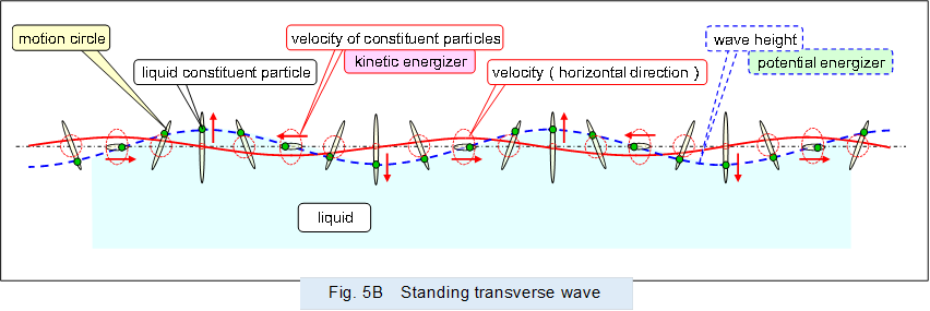 �@
 
,Fig. 5B�@Standing transverse wave
